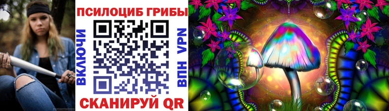 kraken маркетплейс  Лукоянов  Псилоцибиновые грибы мицелий 
